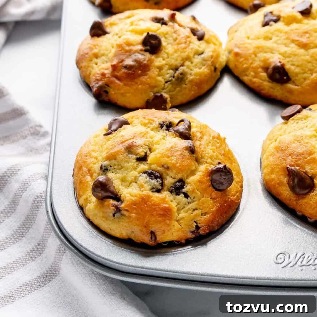 Close up of chocolate chip muffins in a muffin pan