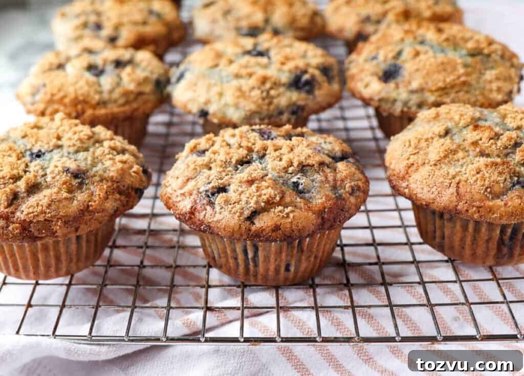 A photo of blueberry muffins on a cooling rack. A striped towel is under the rack.