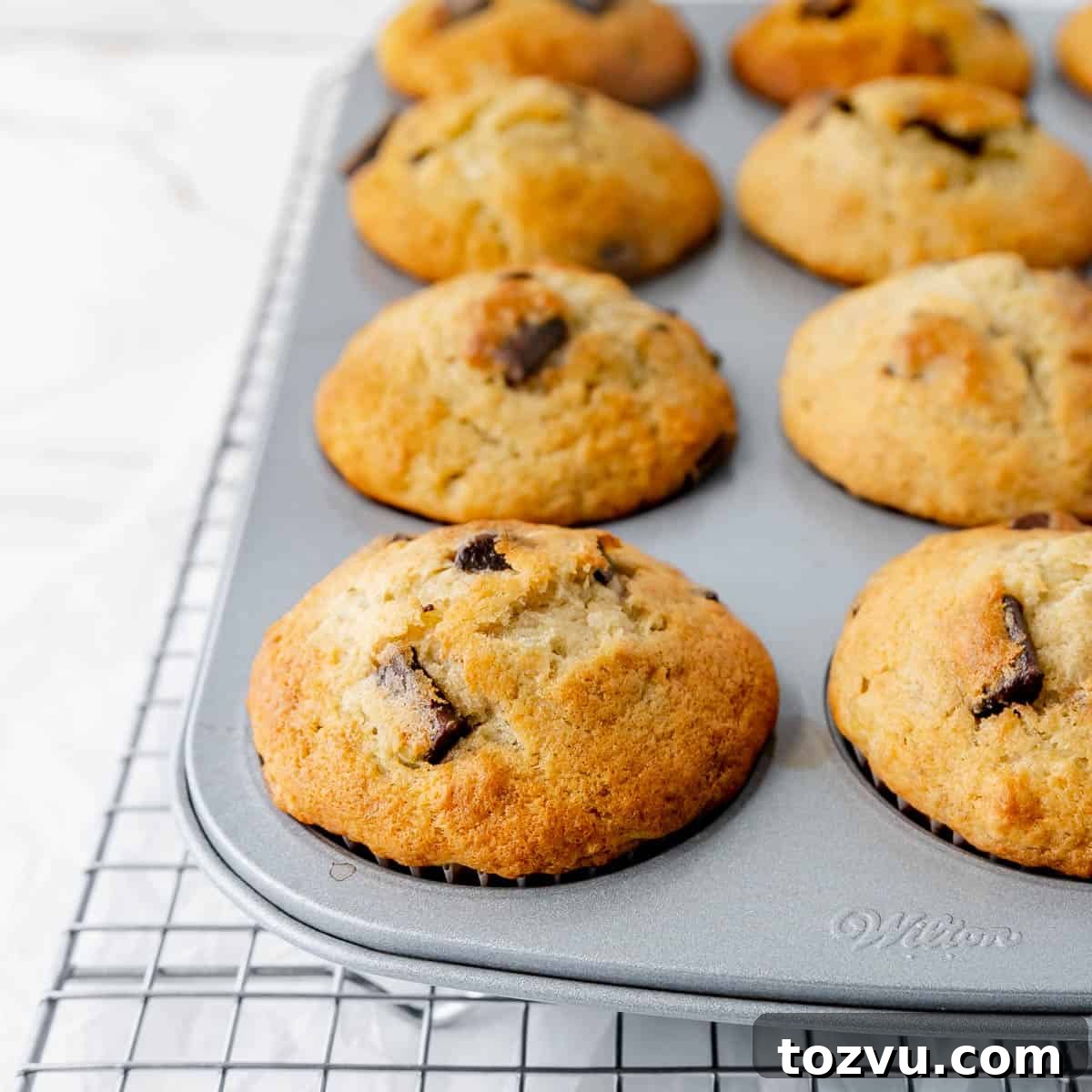 Baked banana chocolate chunk muffins in a muffin pan.