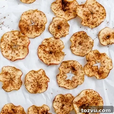 completed Baked Apple Chips against a white surface