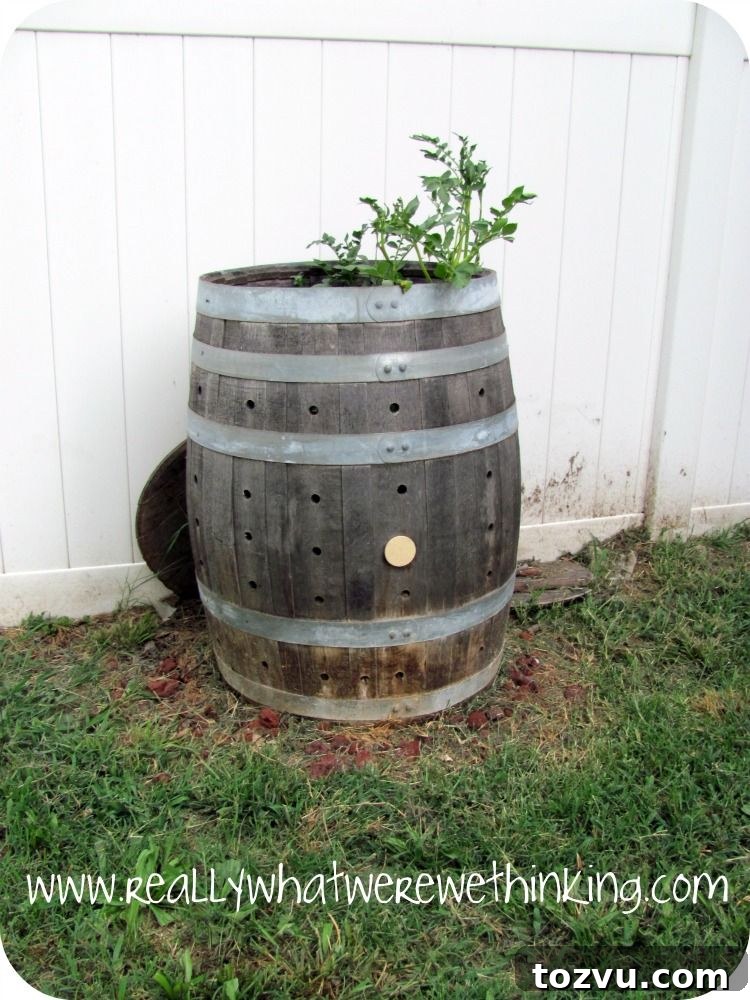 37 Creative DIY Compost Bin Ideas 22 Lazy Composting
