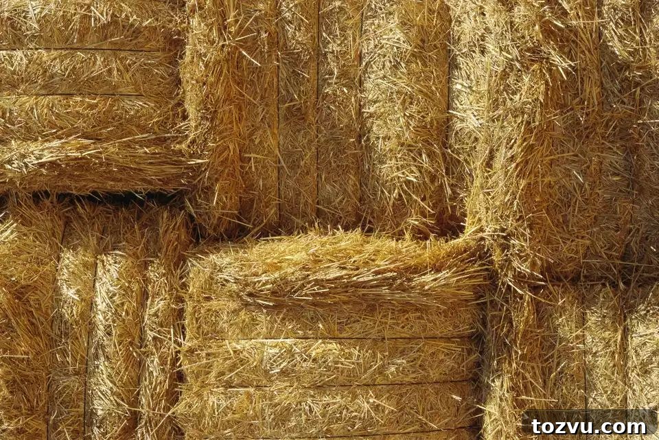 37 Creative DIY Compost Bin Ideas 30 Straw Bale Compost Bin